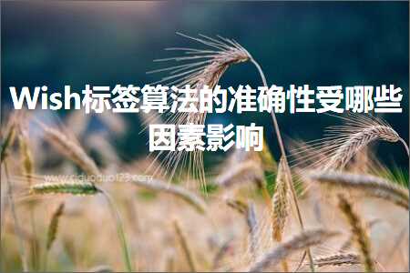 跨境电商知识:Wish标签算法的准确性受哪些因素影响