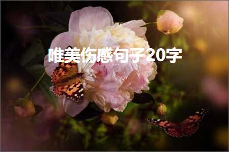 唯美伤感句子20字（文案189条）