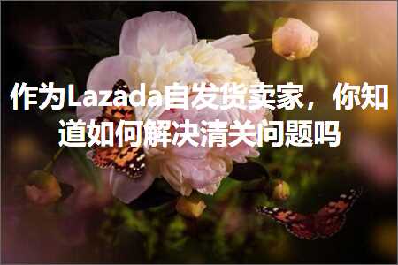 跨境电商知识:作为Lazada自发货卖家，你知道如何解决清关问题吗